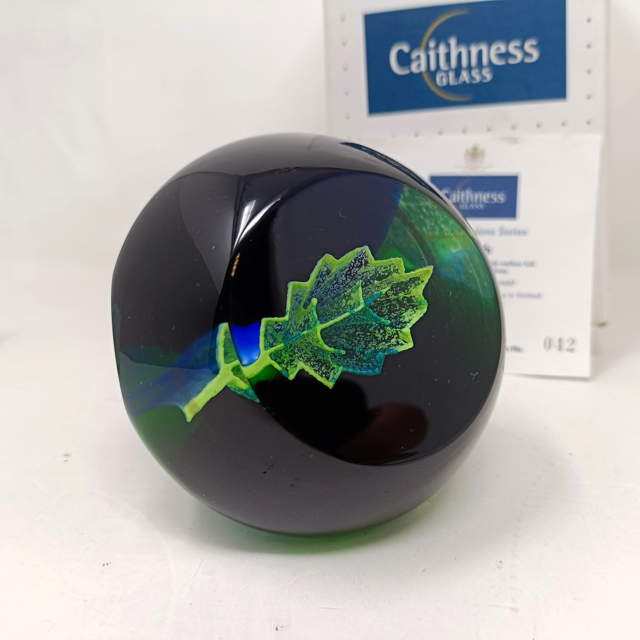 A Caithness paperweight and two others, by Helen McDonald, boxed (3) - Image 7 of 14