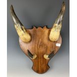 A cowhorn and walnut hat stand, 36 cm high