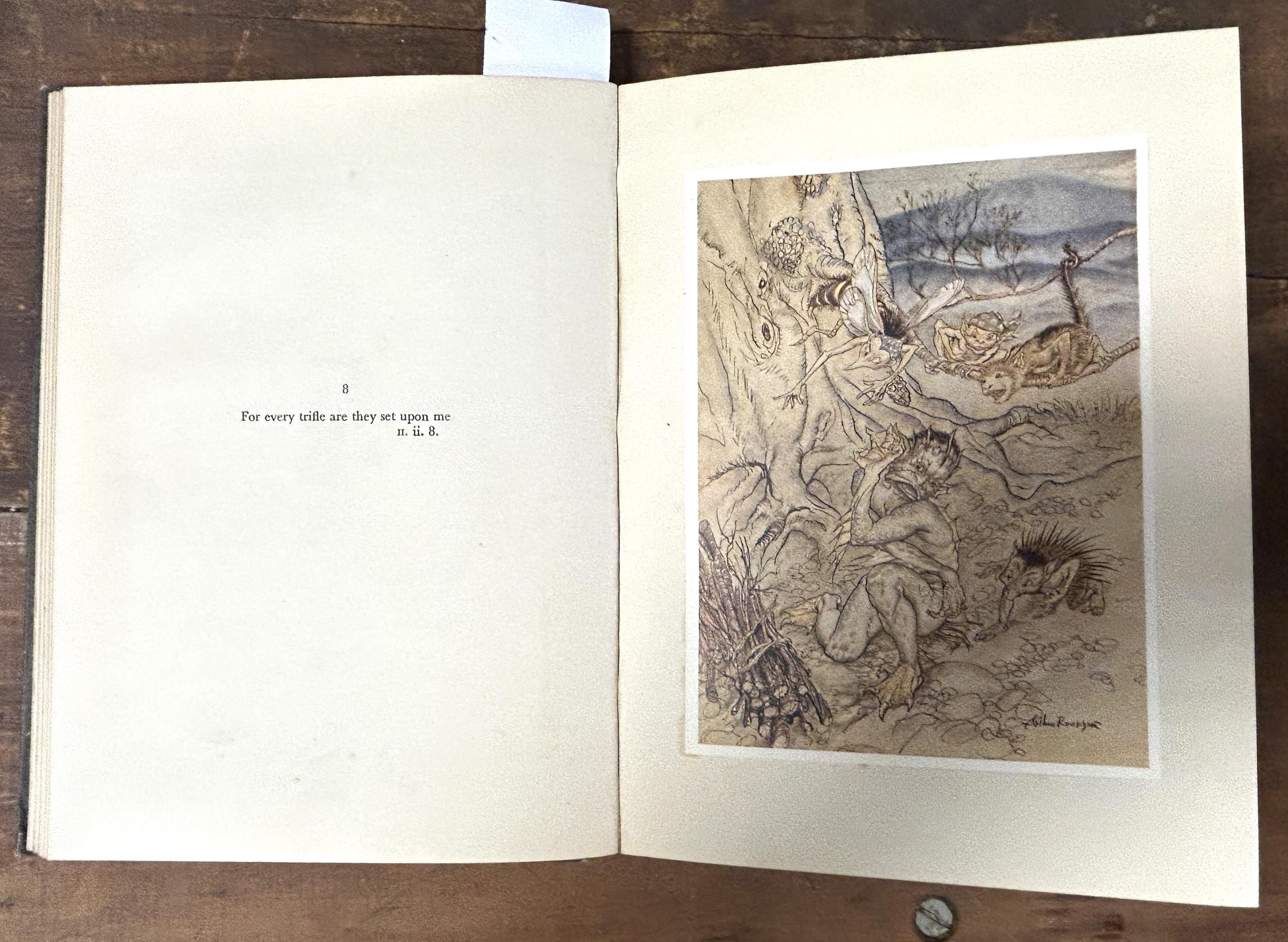 The Tempest, illustrated by Arthur Rackham, The Queens Book For the Red Cross, and The Princess - Image 3 of 6