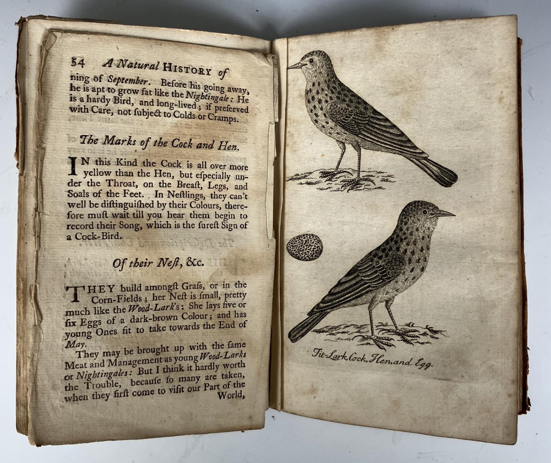 Albin (Eleazar), A Natural History Of English Song-Birds, leather Condition poor