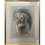 Annette Rariper, Rhona the labrador, pastel, signed, inscribed and 1982, 48 x 36 cm