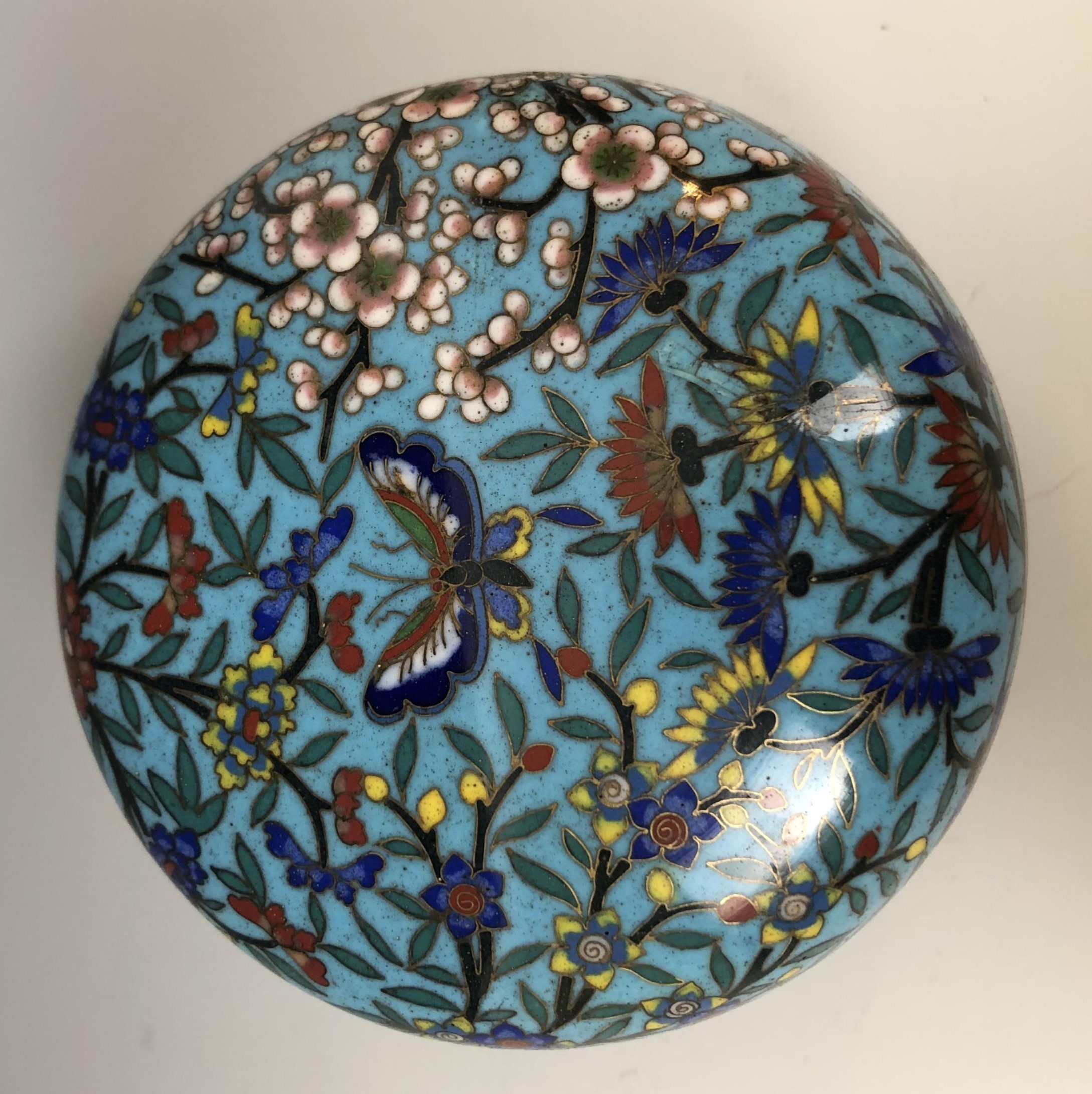 A Chinese cloisonné bowl and cover, decorated butterflies, foliage and prunus, 9.5 cm diameter - Image 2 of 4