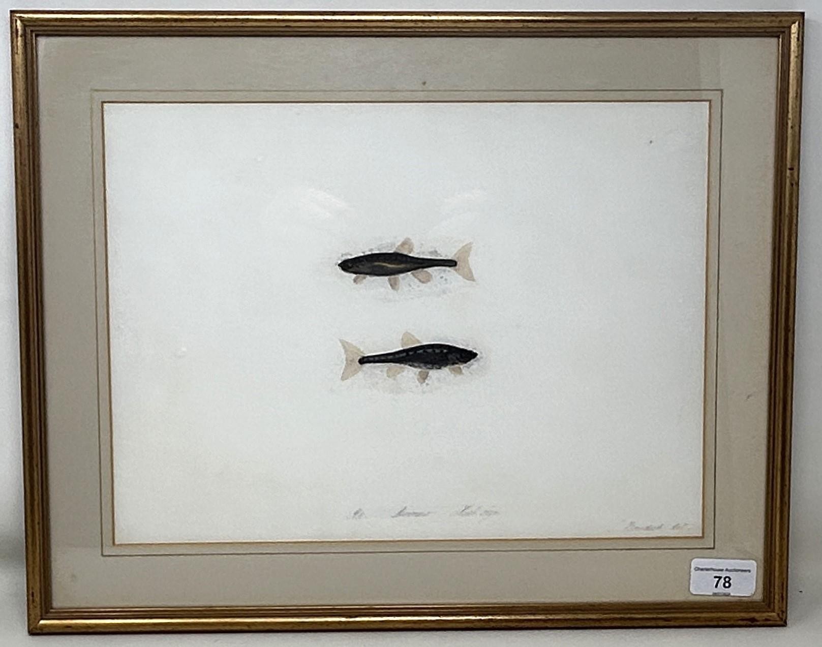 Sarah Bowdich Lee (British 1791-1856), inscribed Minnow, Natl size, signed, 24 x 32 cm, and Sarah