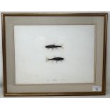 Sarah Bowdich Lee (British 1791-1856), inscribed Minnow, Natl size, signed, 24 x 32 cm, and Sarah