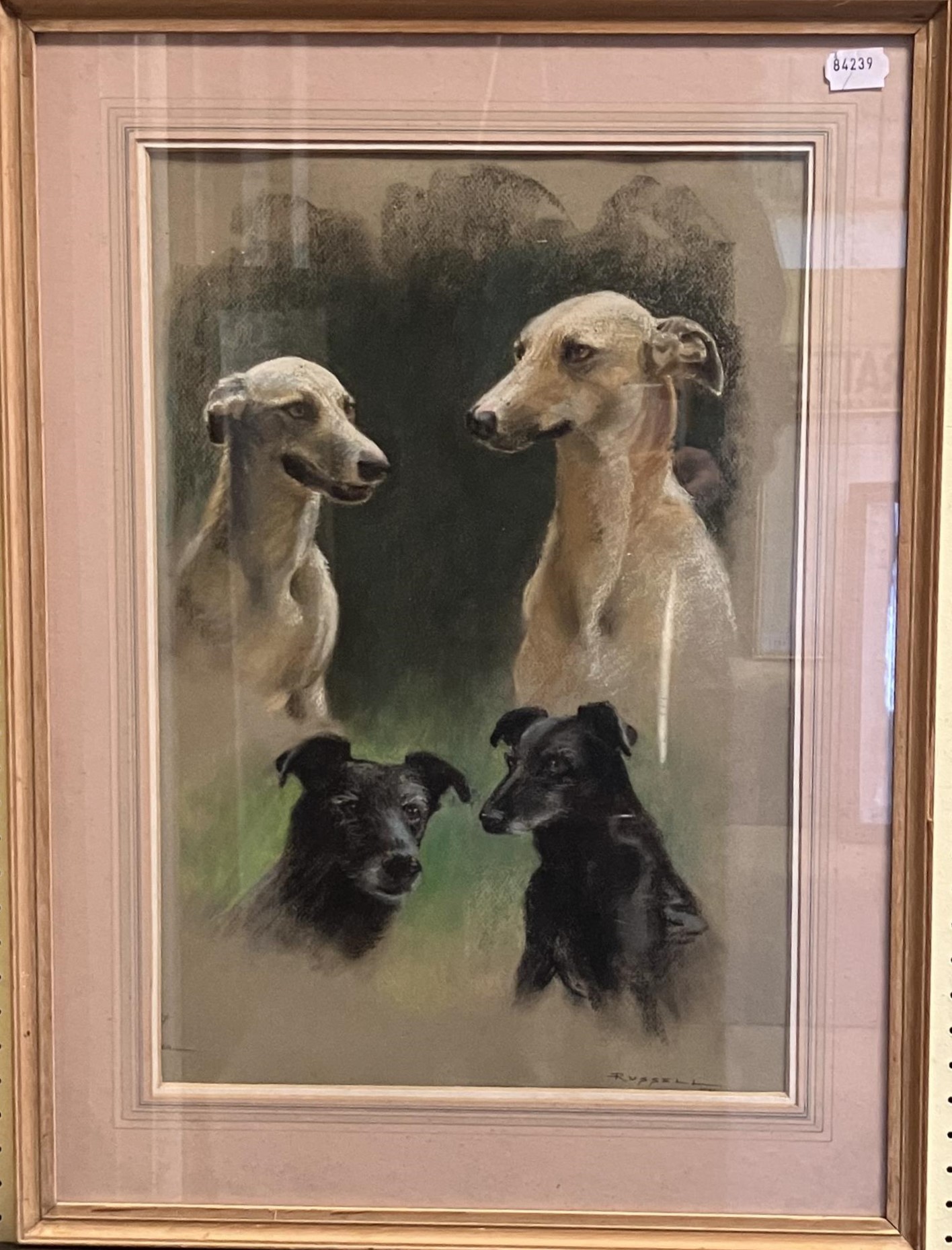 Russell, four pet dogs, pastel, signed, 53 x 34 cm, Lucy Lloyd, Piglet, pencil, signed and dated - Image 2 of 4