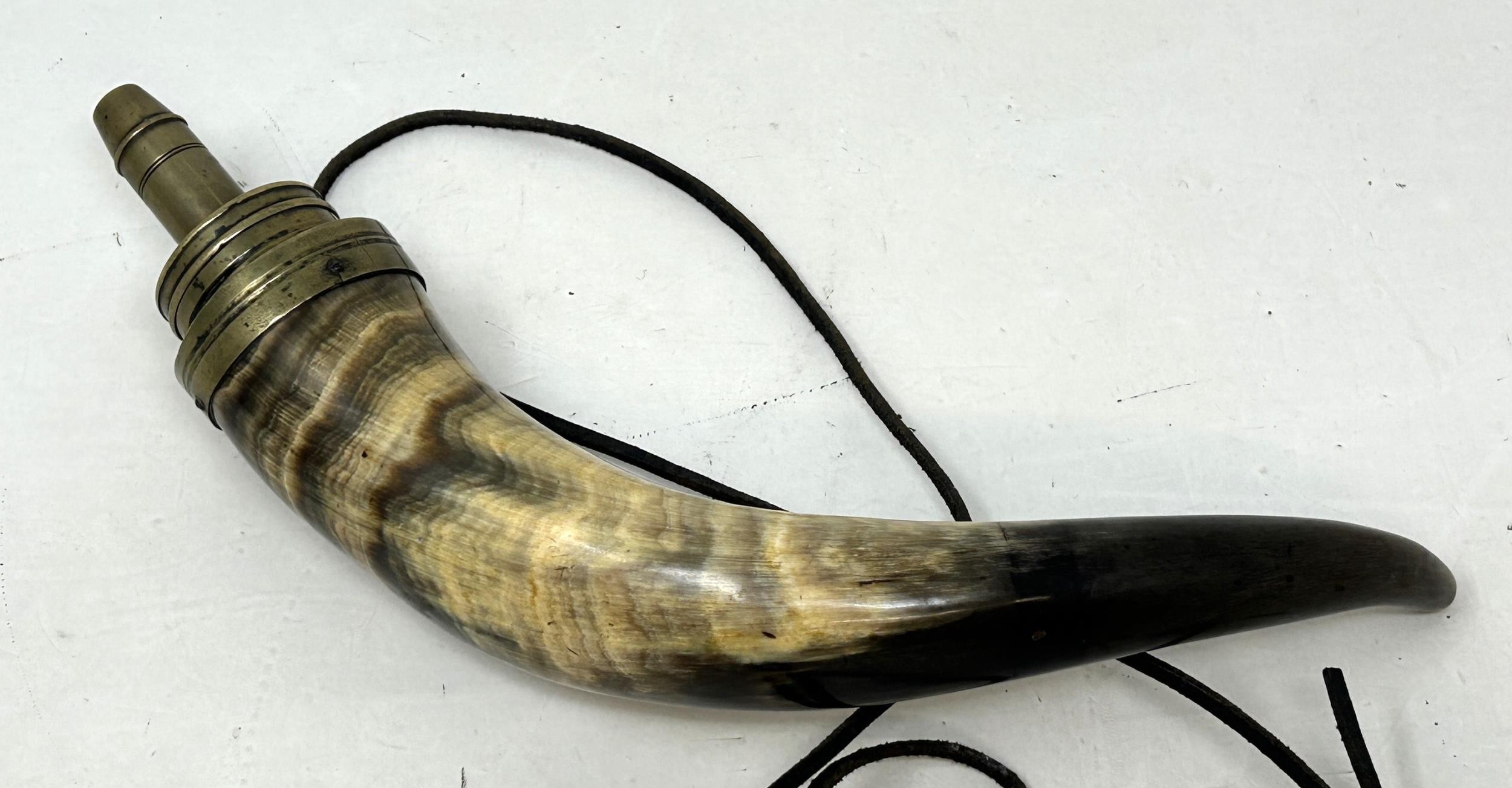 A horn gunpowder mule, 29 cm wide