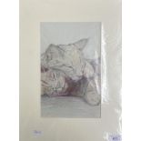 Rita Glover, a portrait of a cat, pastel, 19 x 30 cm, and another, unframed, Sabal, a woodland,