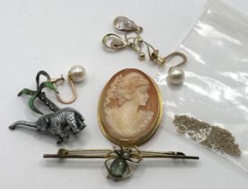 A bar brooch, decorated spider, a cameo, a brooch, decorated elephant, two pairs of earrings, and