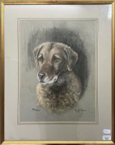 Annette Rariper, Rhona the labrador, pastel, signed, inscribed and 1982, 48 x 36 cm