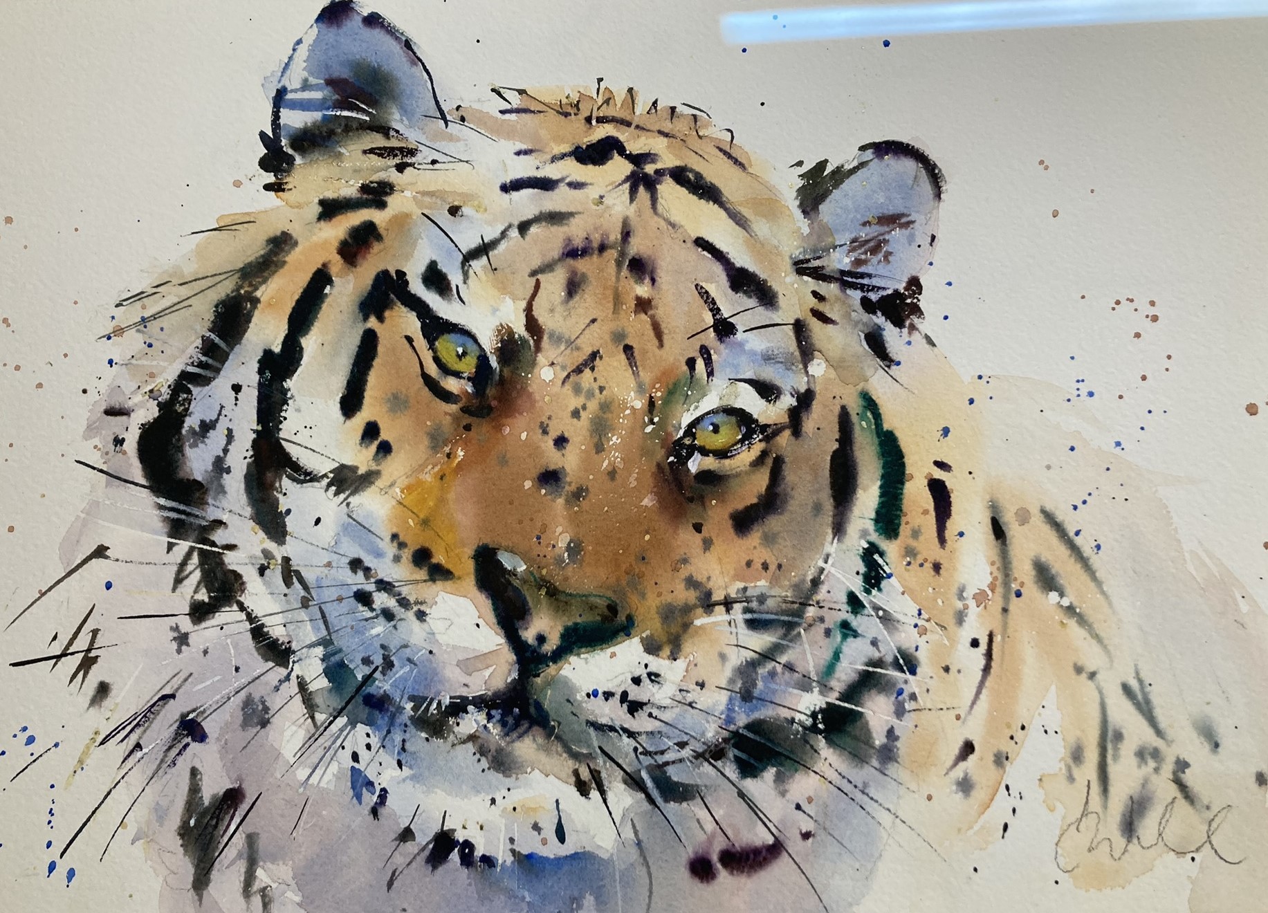 Larson Juhl, study of a tiger, watercolour, signed, 32 x 47 cm