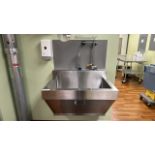 STAINLESS STEEL TOUCHLESS SINK WITH EYE WASH