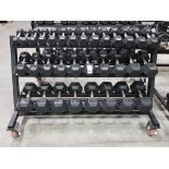 1 X 3 TIER DUMBELL RACK ON WHEELS WITH 16 SETS OF RUBBER COVERED DUMBELLS TO INCLUDE 3 KG /. 4