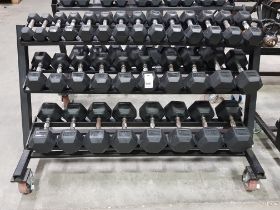 1 X 3 TIER DUMBELL RACK ON WHEELS WITH 16 SETS OF RUBBER COVERED DUMBELLS TO INCLUDE 3 KG /. 4