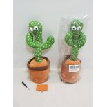 80 X BRAND NEW DANCING CACTUSES IN ONE LARGE BOX