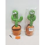 80 X BRAND NEW DANCING CACTUSES IN ONE LARGE BOX