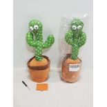 80 X BRAND NEW DANCING CACTUSES IN ONE LARGE BOX