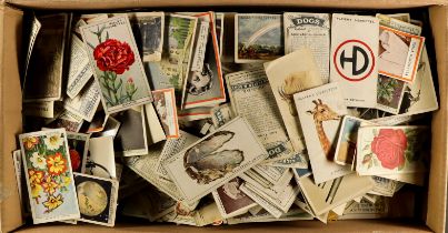 CIGARETTE / TRADE CARD HOARD. Unchecked loose cards. Some stored in cigarette boxes - stated to be