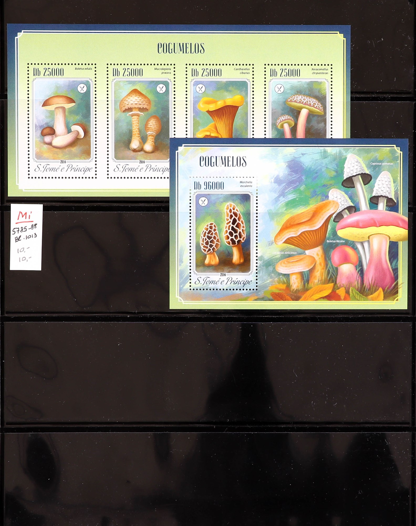 PORTUGUESE COLONIES FUNGI STAMPS OF ST THOMAS & PRINCE ISLANDS 1984 - 2014 never hinged mint - Image 12 of 30