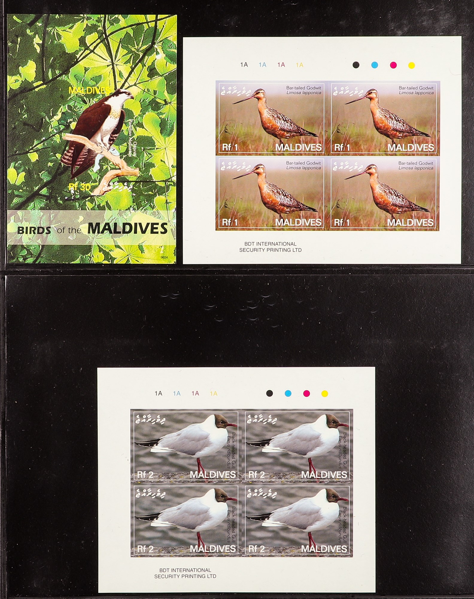 MALDIVE IS. 2007 Migratory Birds complete set of 6 sheetlets and 3 miniature sheet IMPERFORATE - Image 3 of 3