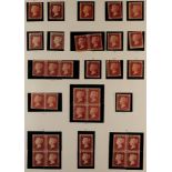 GB.QUEEN VICTORIA 1864-79 1d REDS MINT COLLECTION in hingeless mounts on page, includes plates 90,