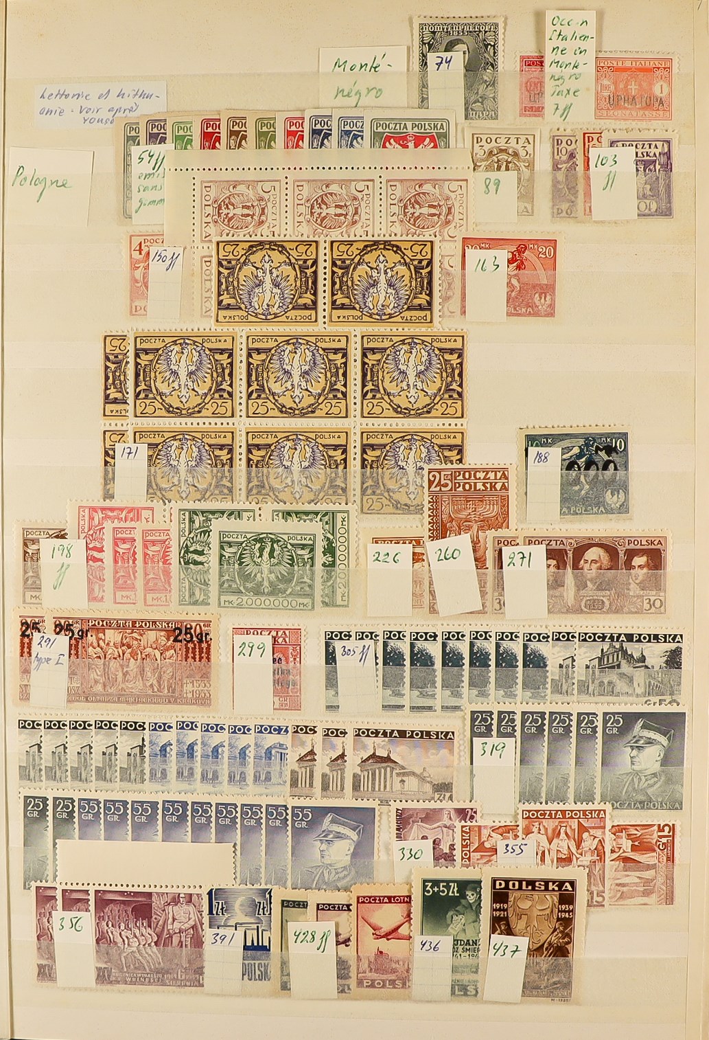 COLLECTIONS & ACCUMULATIONS WORLD WIDE MINT / NEVER HINGED MINT STAMPS in stock books, packets, - Image 4 of 17