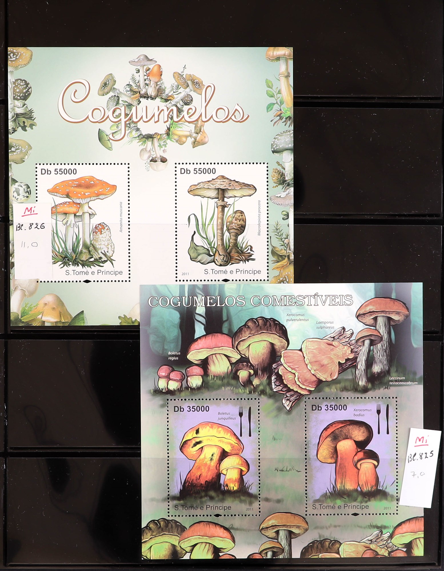 PORTUGUESE COLONIES FUNGI STAMPS OF ST THOMAS & PRINCE ISLANDS 1984 - 2014 never hinged mint - Image 24 of 30