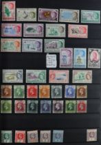 COLLECTIONS & ACCUMULATIONS COMMONWEALTH valuable mint & used collection in large stock book of 19th