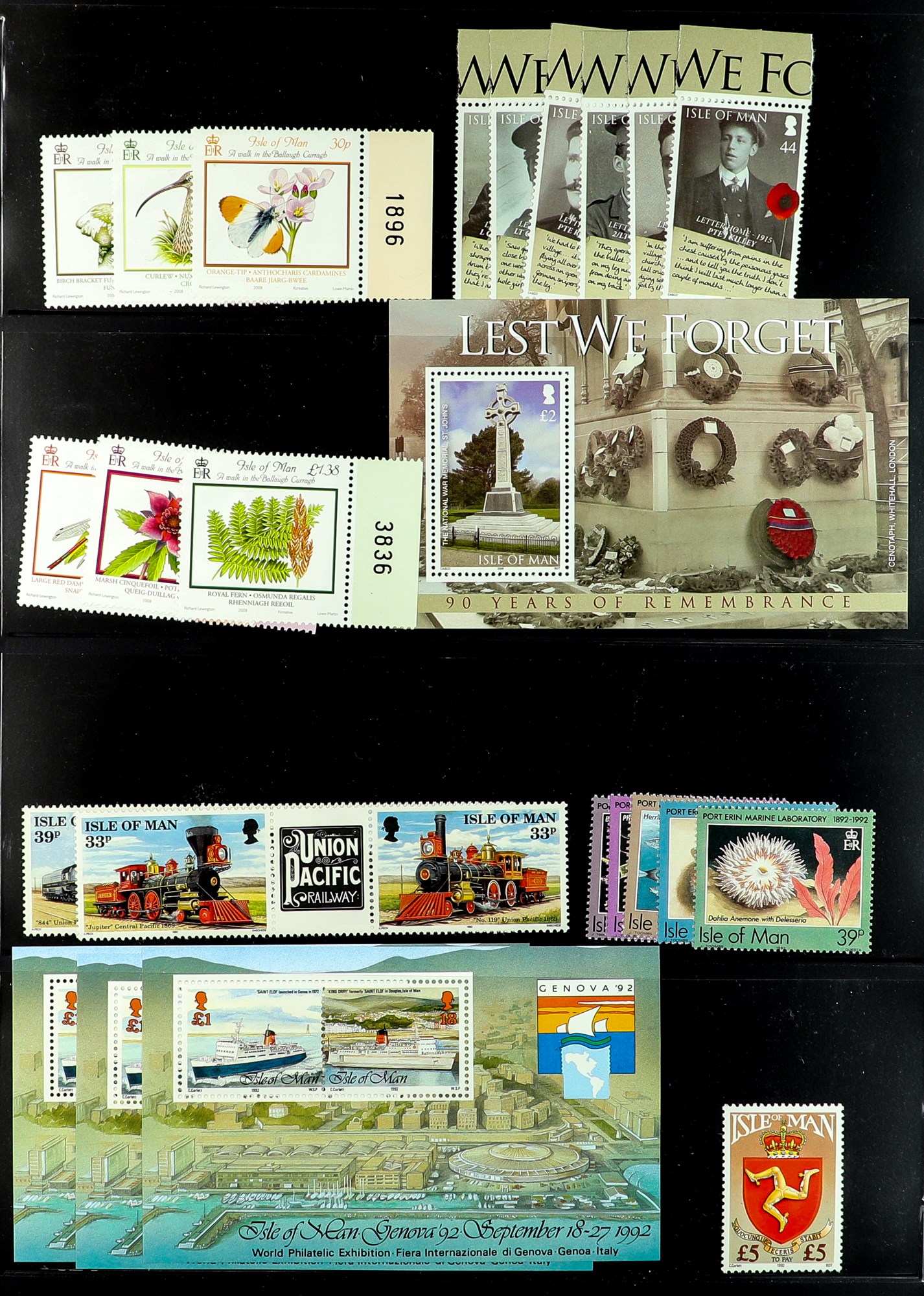 GB.ISLANDS ISLE OF MAN 1990 - 2008 NEVER HINGED MINT collection with light duplication on protective - Image 4 of 10