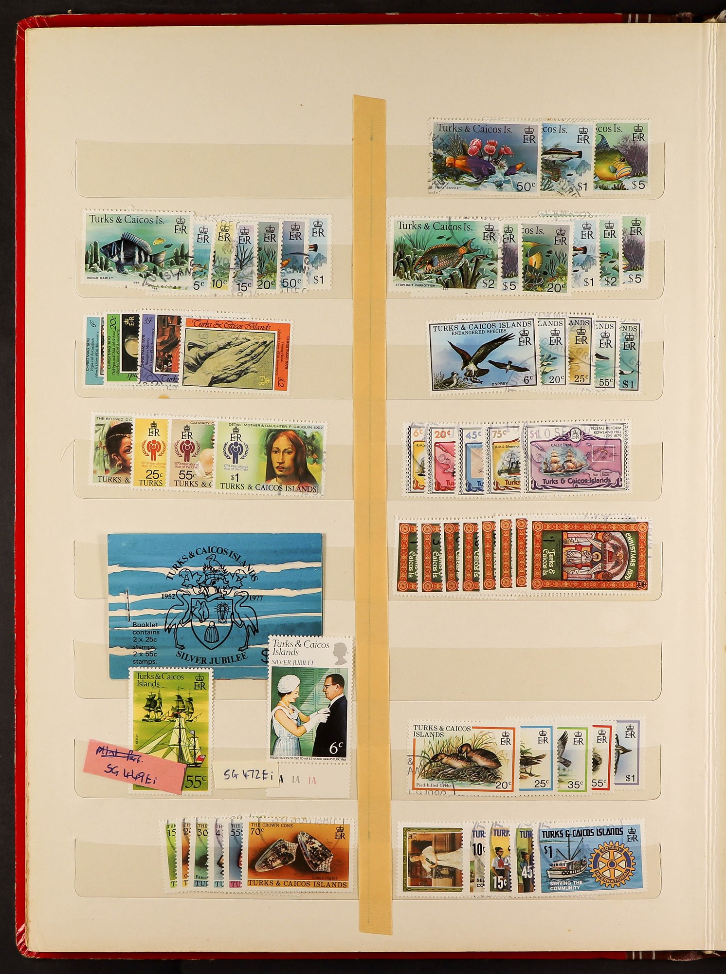 TURKS & CAICOS IS. 1881 - 1983 STAMPS mint / never hinged mint & used assortment on stock book - Image 4 of 6