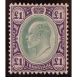 SOUTH AFRICA -COLS & REPS TRANSVAAL 1903 £1 green and violet, SG 258, mint very lightly hinged. Cat.