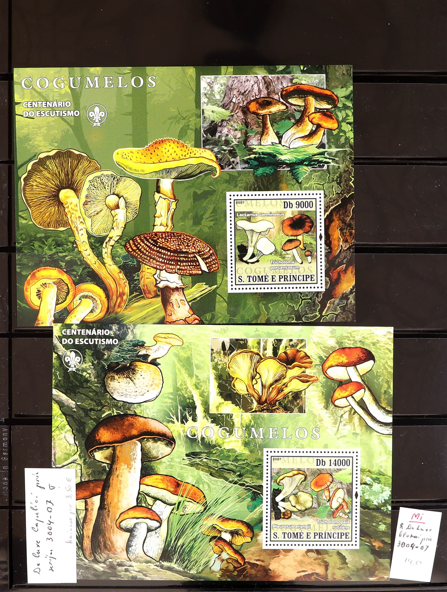 PORTUGUESE COLONIES FUNGI STAMPS OF ST THOMAS & PRINCE ISLANDS 1984 - 2014 never hinged mint - Image 9 of 30