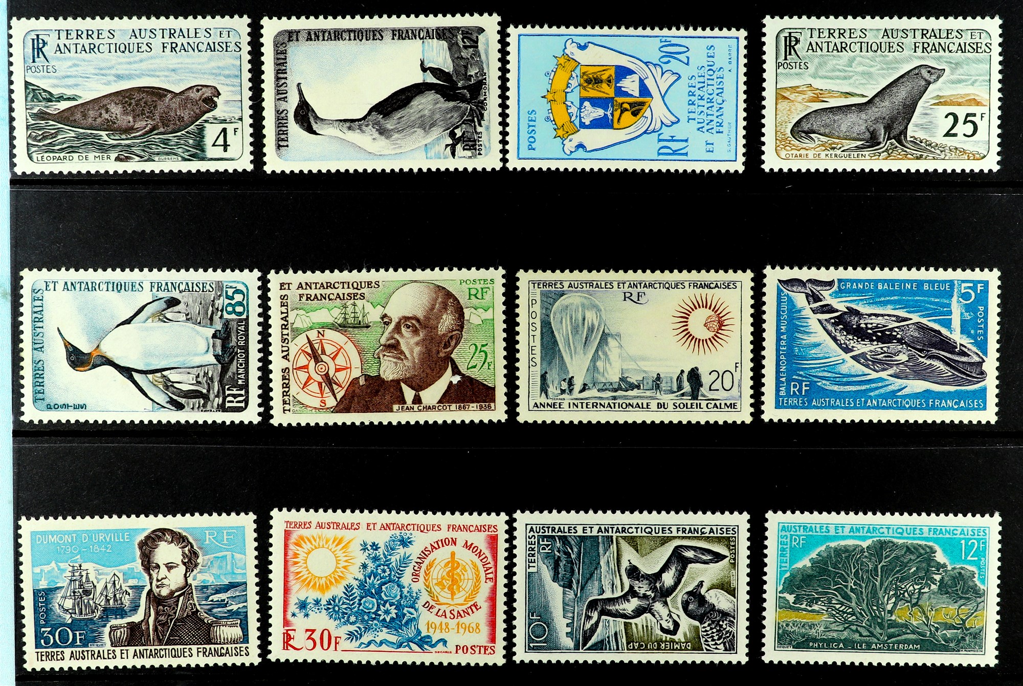 FRENCH DEPENDENCIES T.A.A.F. 1959 - 1970 NEVER HINGED MINT COLLECTION of 24 stamps on stock cards, - Image 2 of 3