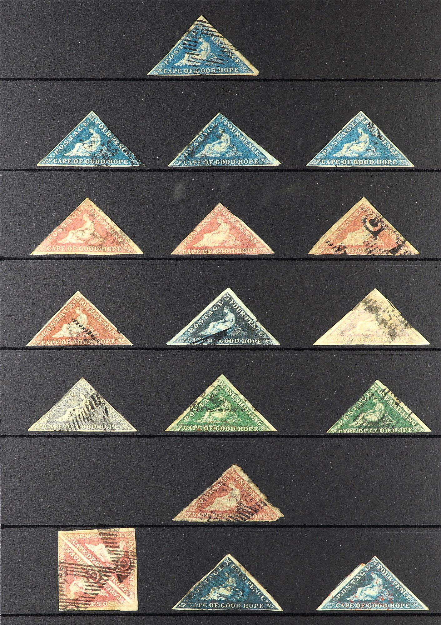 SOUTH AFRICA -COLS & REPS CAPE OF GOOD HOPE 1853 - 1904 collection of over 500 used stamps on