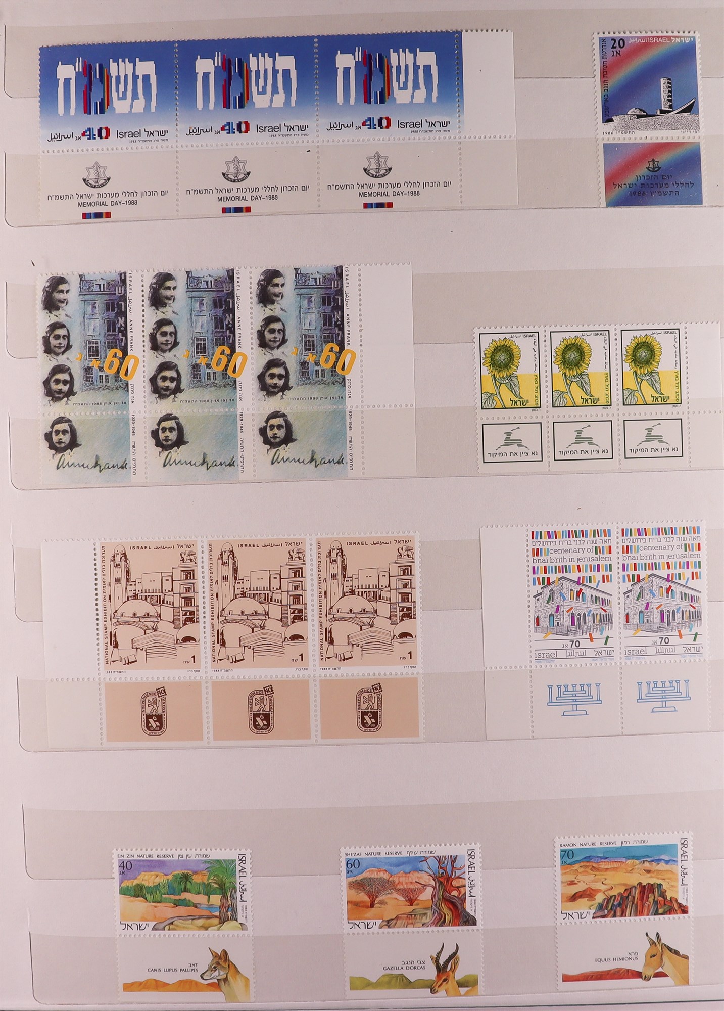 ISRAEL 1948-1989 ESTATE Includes mainly never hinged mint collection with tabs in stockbooks (some - Image 5 of 19