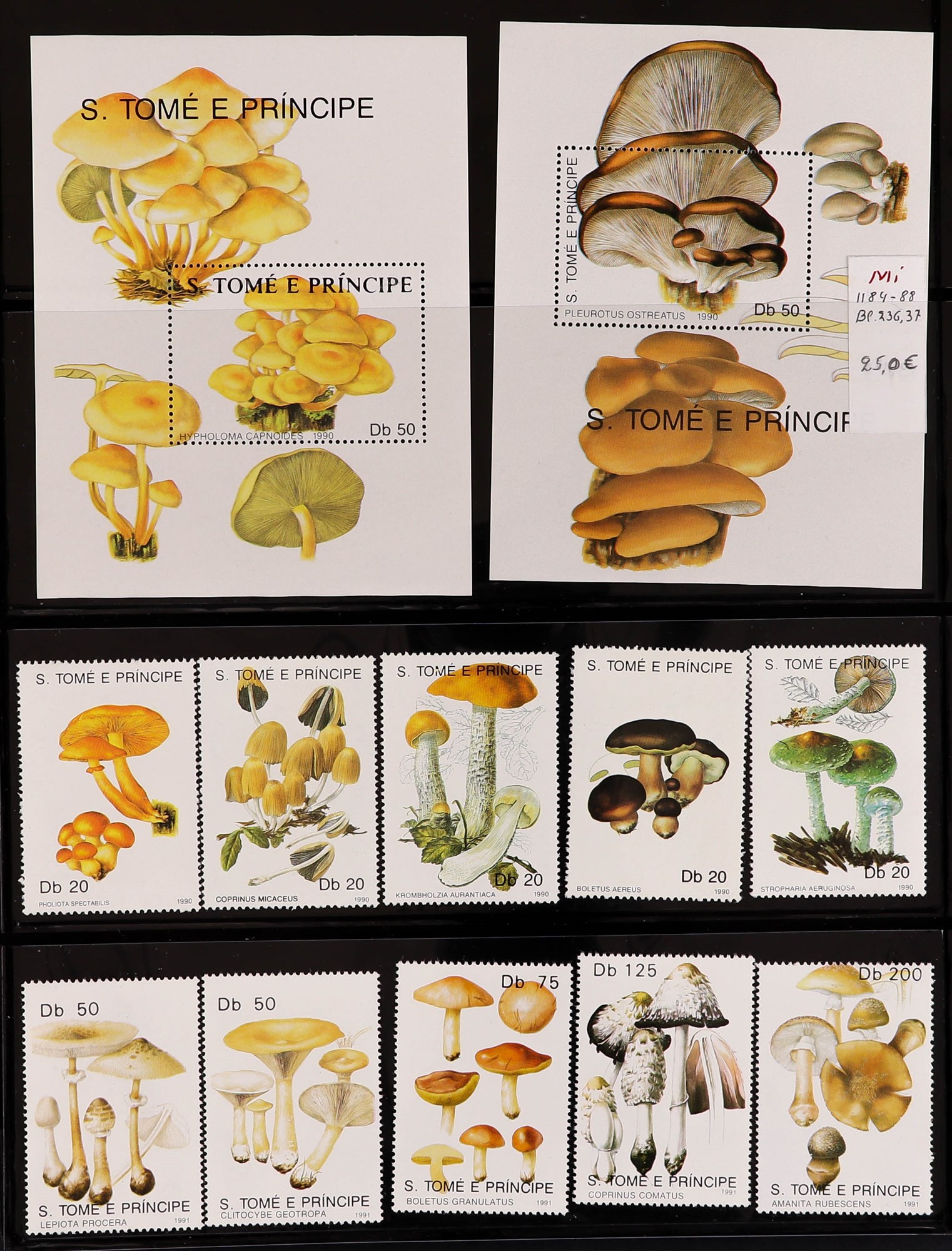 PORTUGUESE COLONIES FUNGI STAMPS OF ST THOMAS & PRINCE ISLANDS 1984 - 2014 never hinged mint - Image 17 of 30