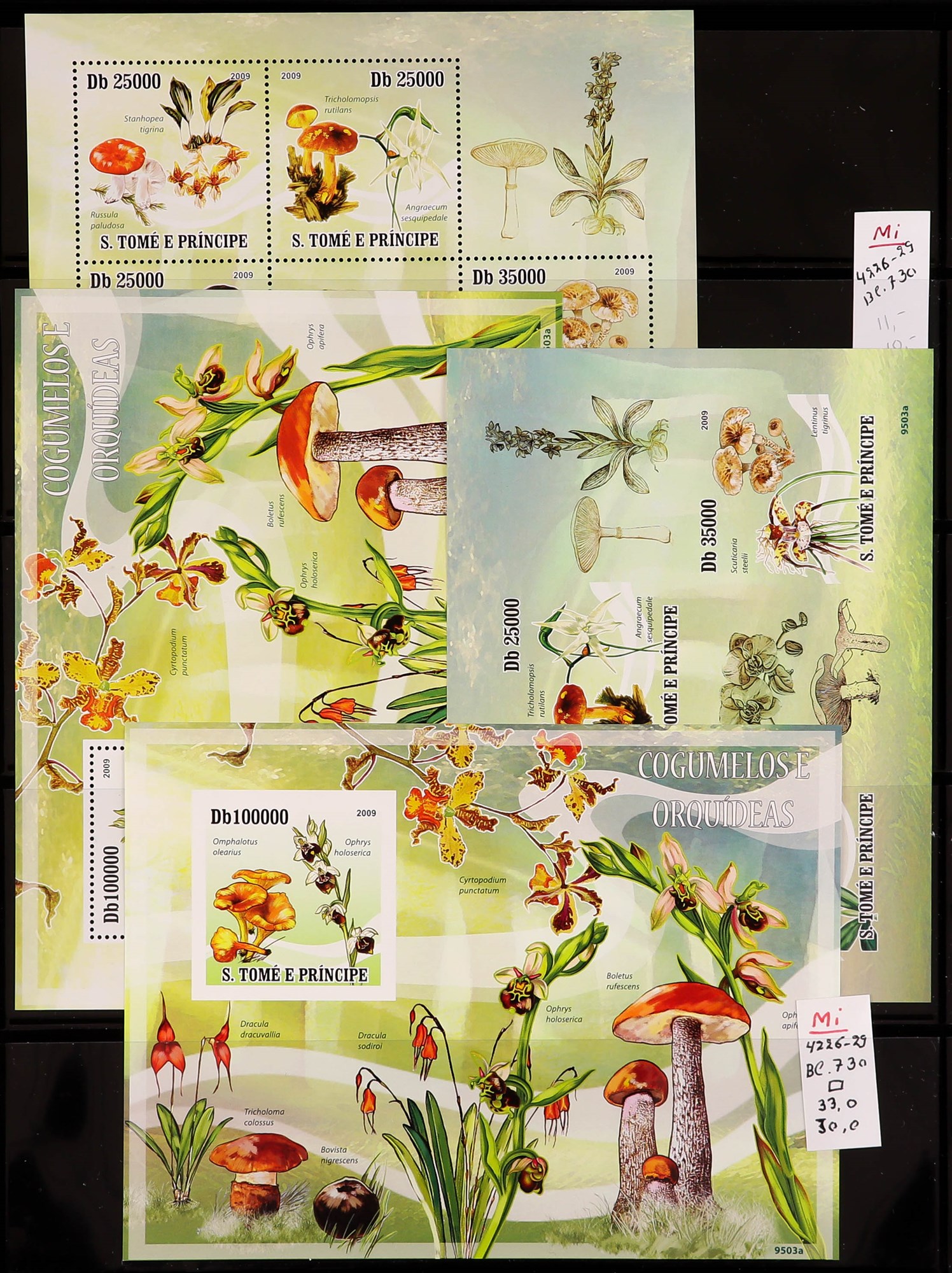 PORTUGUESE COLONIES FUNGI STAMPS OF ST THOMAS & PRINCE ISLANDS 1984 - 2014 never hinged mint - Image 23 of 30