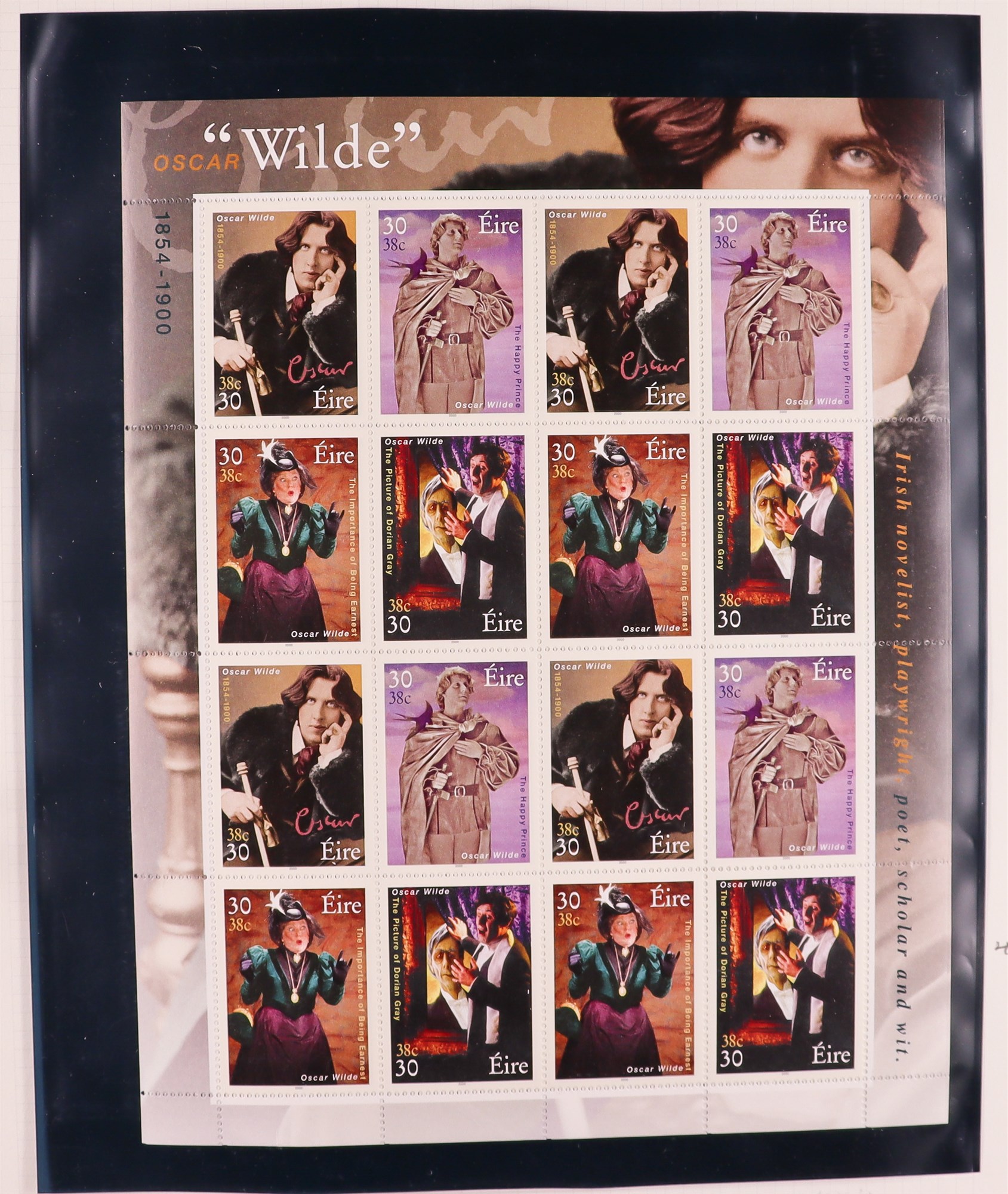 IRELAND 1988-2002 SHEETLETS NEVER HINGED MINT COLLECTION in album, stc 1,150 Euro. (85+ sheetlets) - Image 7 of 8