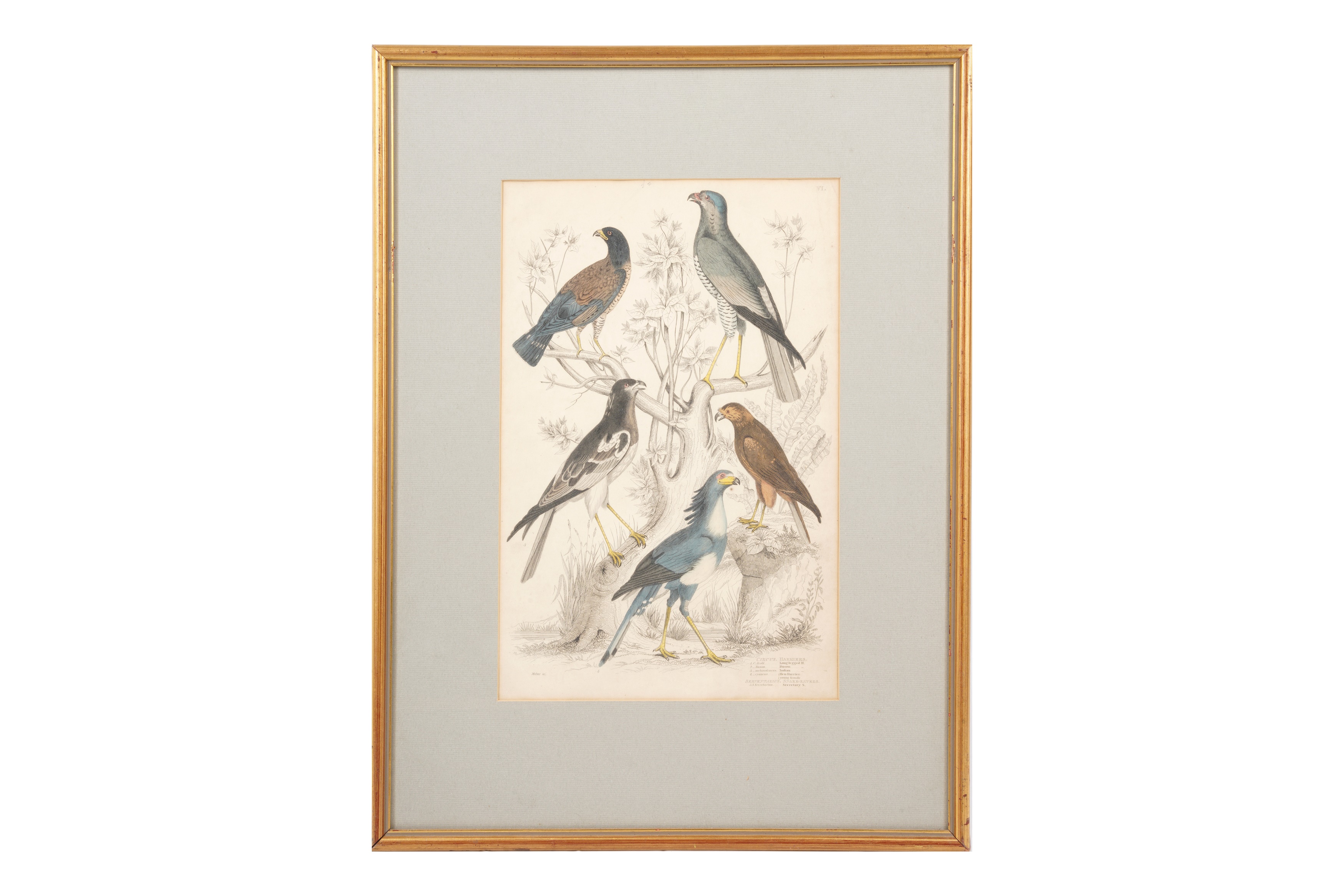 A SET OF TWELVE LATE 19TH CENTURY GILT-FRAMED LITHOGRAPHS - Image 3 of 13