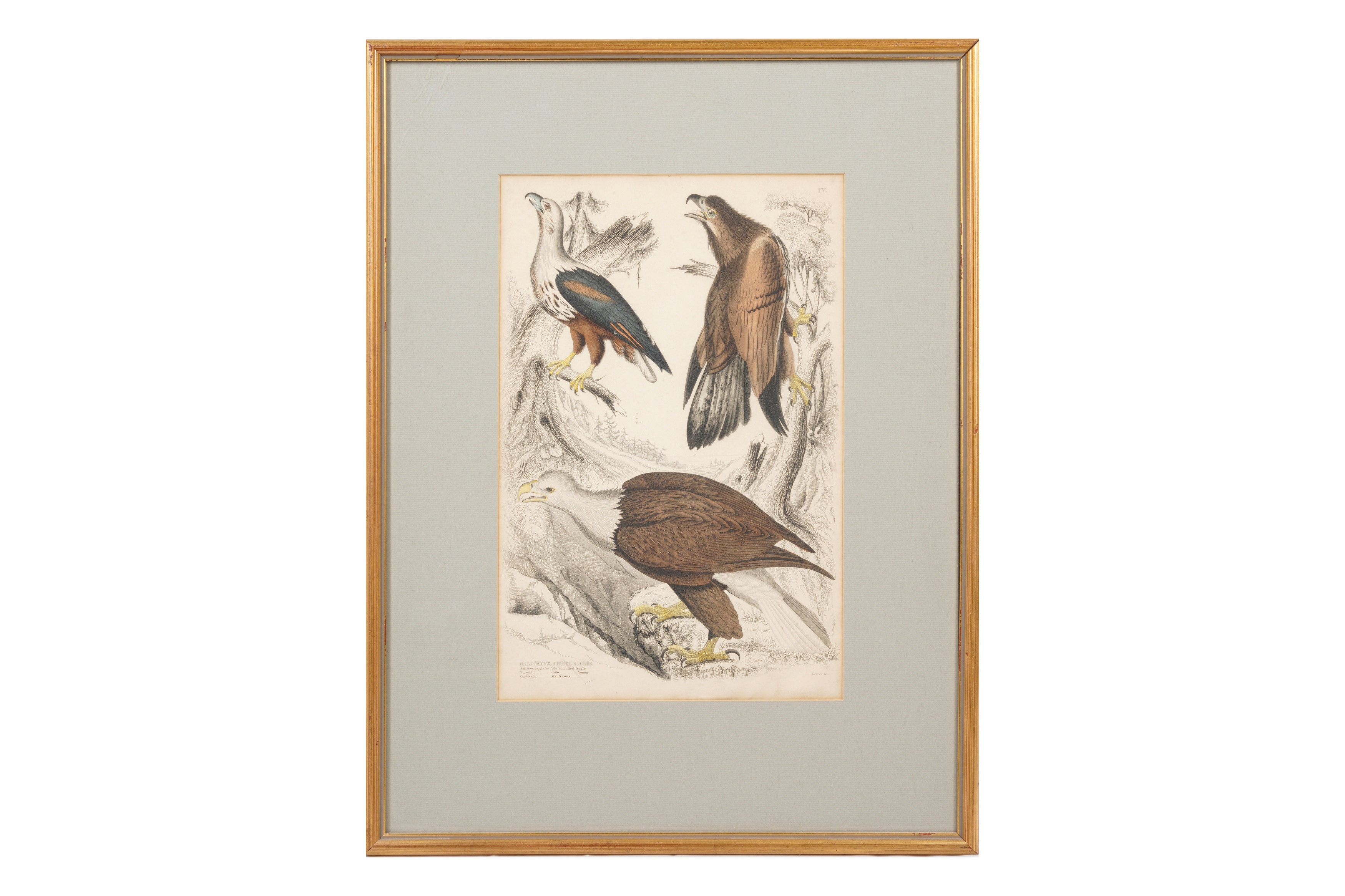 A SET OF TWELVE LATE 19TH CENTURY GILT-FRAMED LITHOGRAPHS - Image 13 of 13