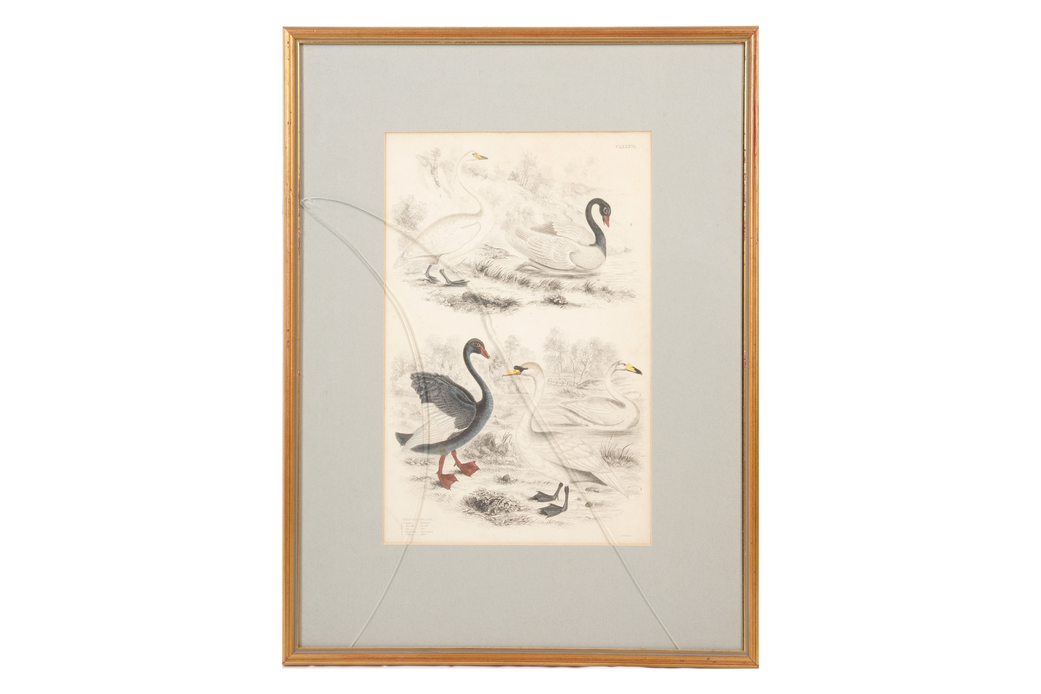 A SET OF TWELVE LATE 19TH CENTURY GILT-FRAMED LITHOGRAPHS - Image 7 of 13