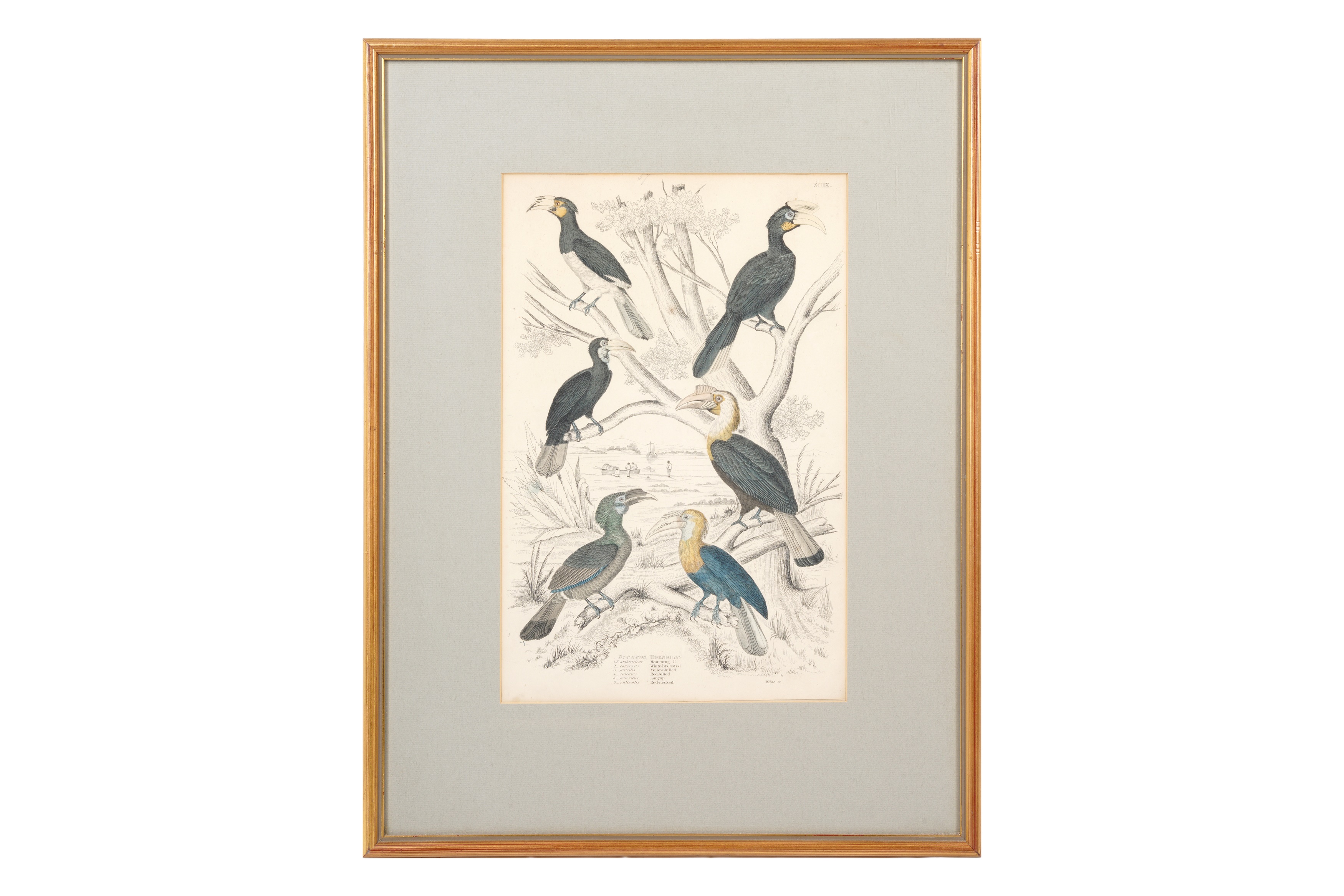 A SET OF TWELVE LATE 19TH CENTURY GILT-FRAMED LITHOGRAPHS - Image 4 of 13