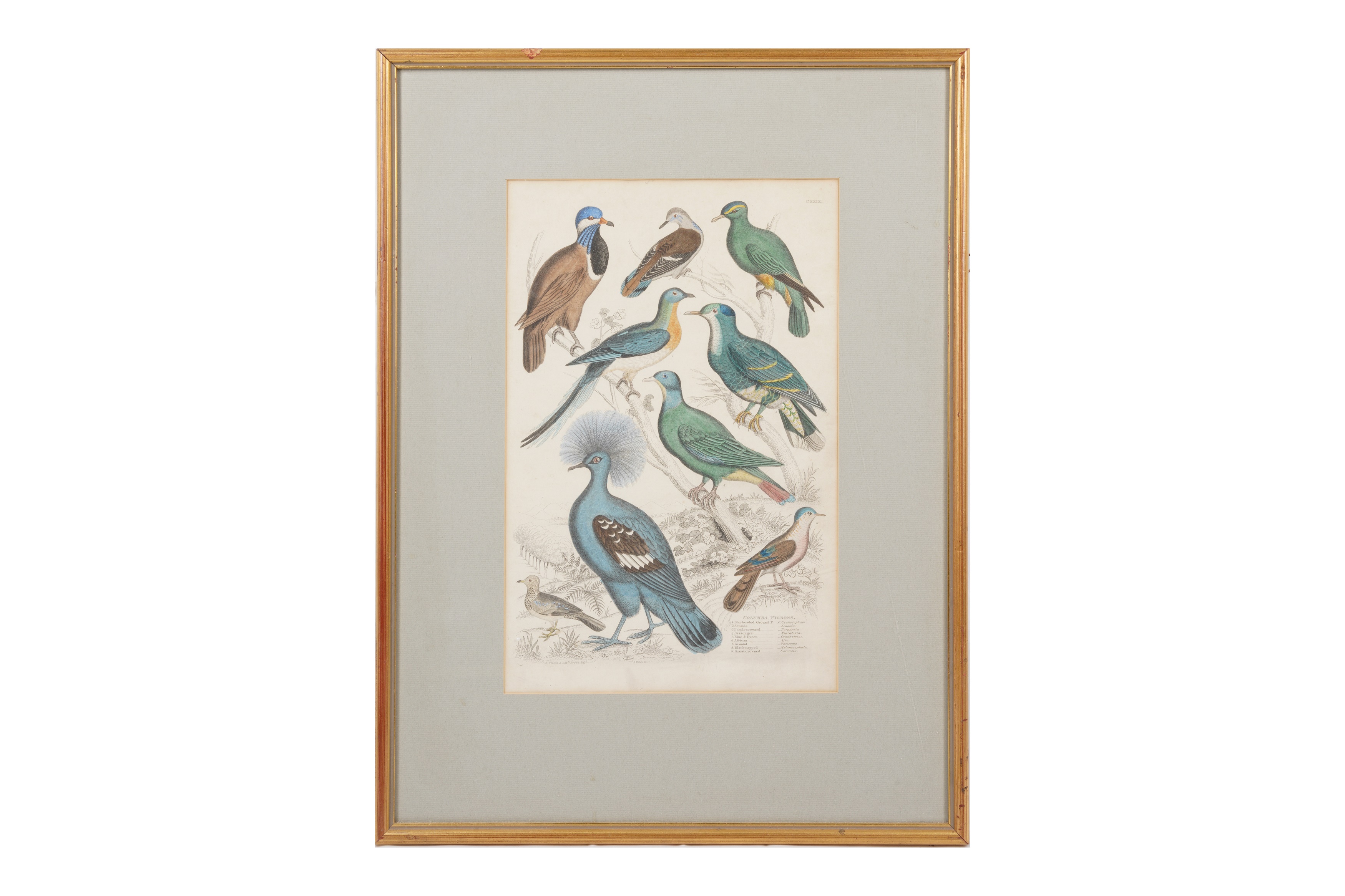 A SET OF TWELVE LATE 19TH CENTURY GILT-FRAMED LITHOGRAPHS - Image 10 of 13