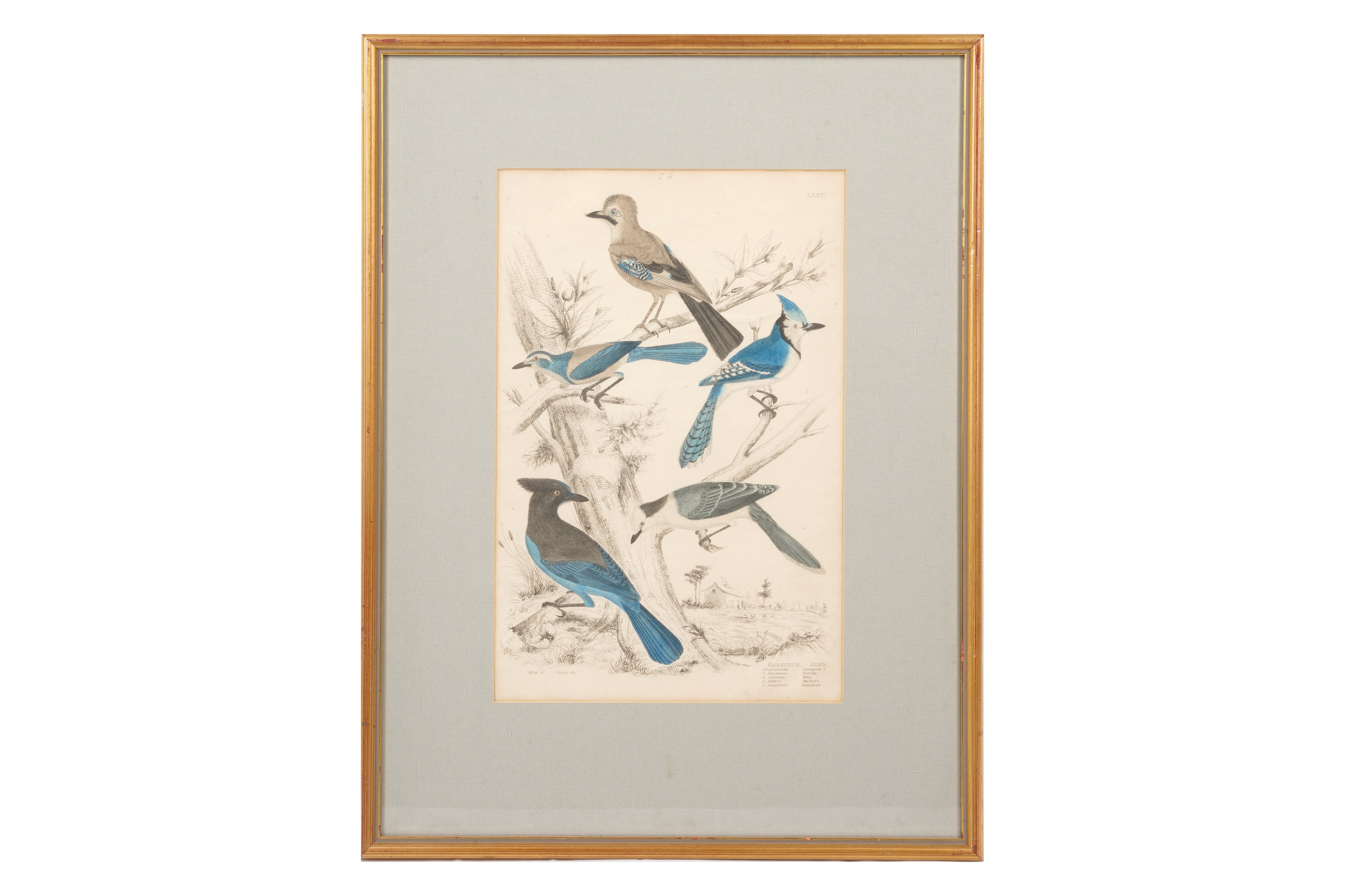 A SET OF TWELVE LATE 19TH CENTURY GILT-FRAMED LITHOGRAPHS - Image 8 of 13