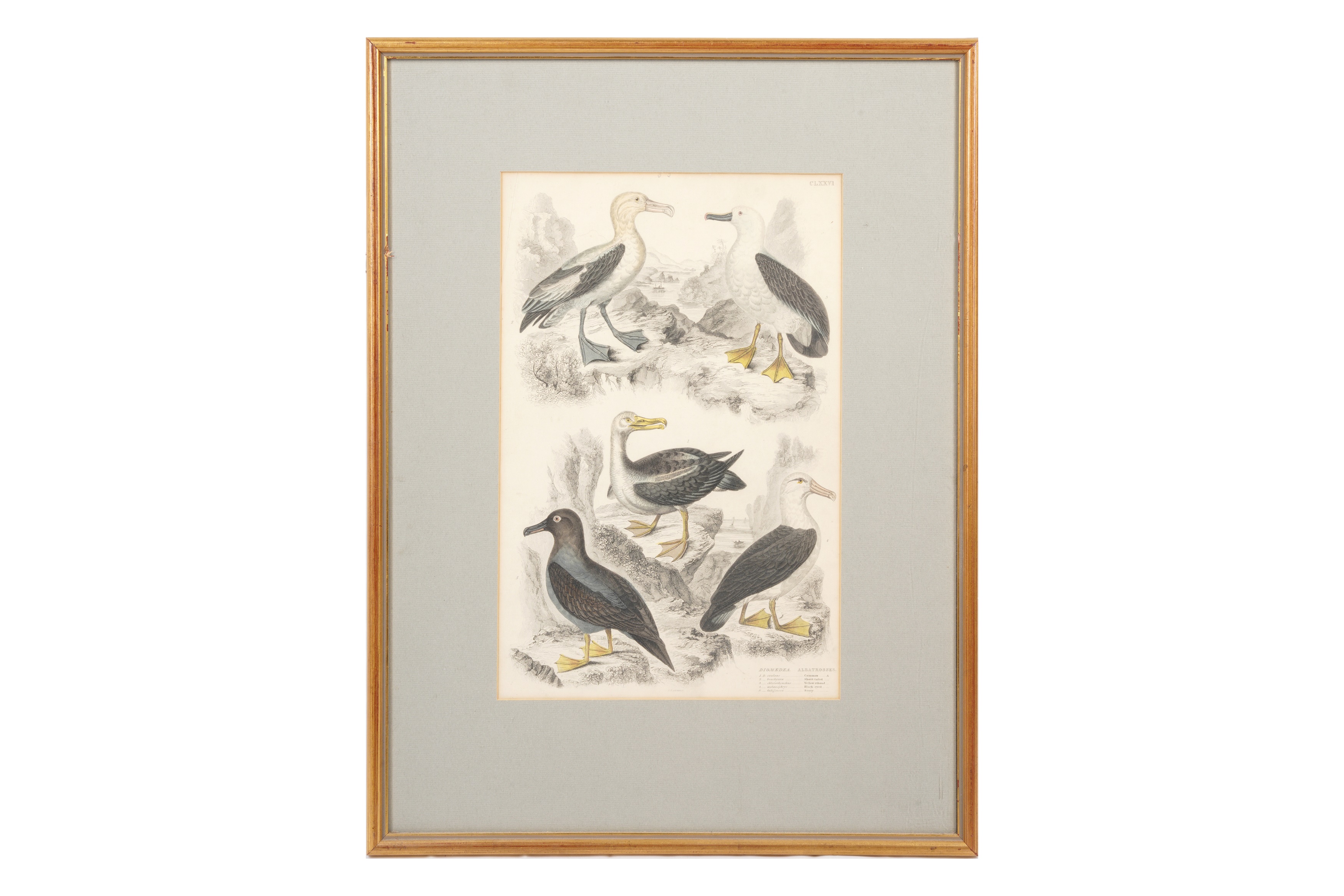 A SET OF TWELVE LATE 19TH CENTURY GILT-FRAMED LITHOGRAPHS - Image 6 of 13