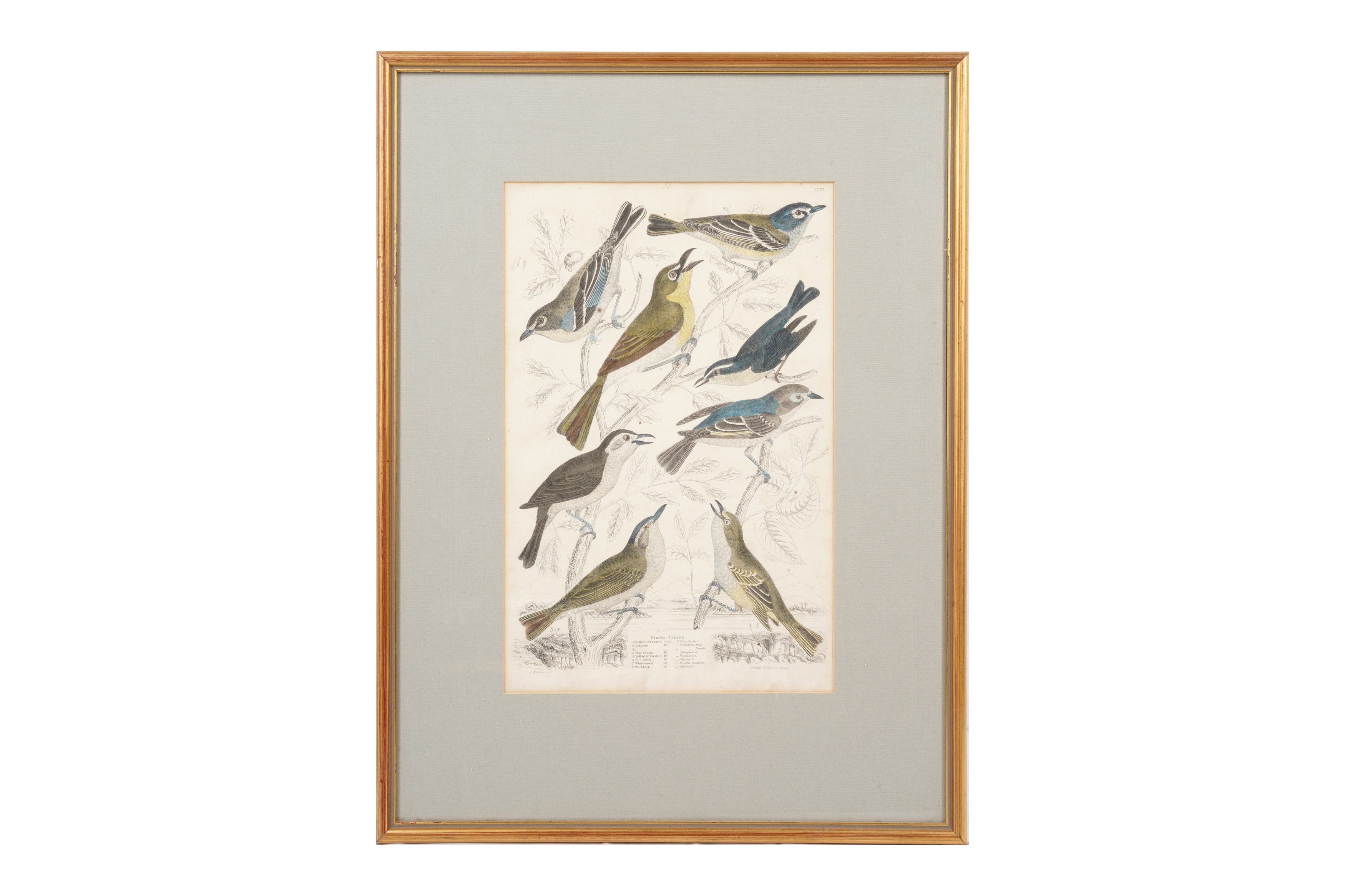 A SET OF TWELVE LATE 19TH CENTURY GILT-FRAMED LITHOGRAPHS - Image 9 of 13