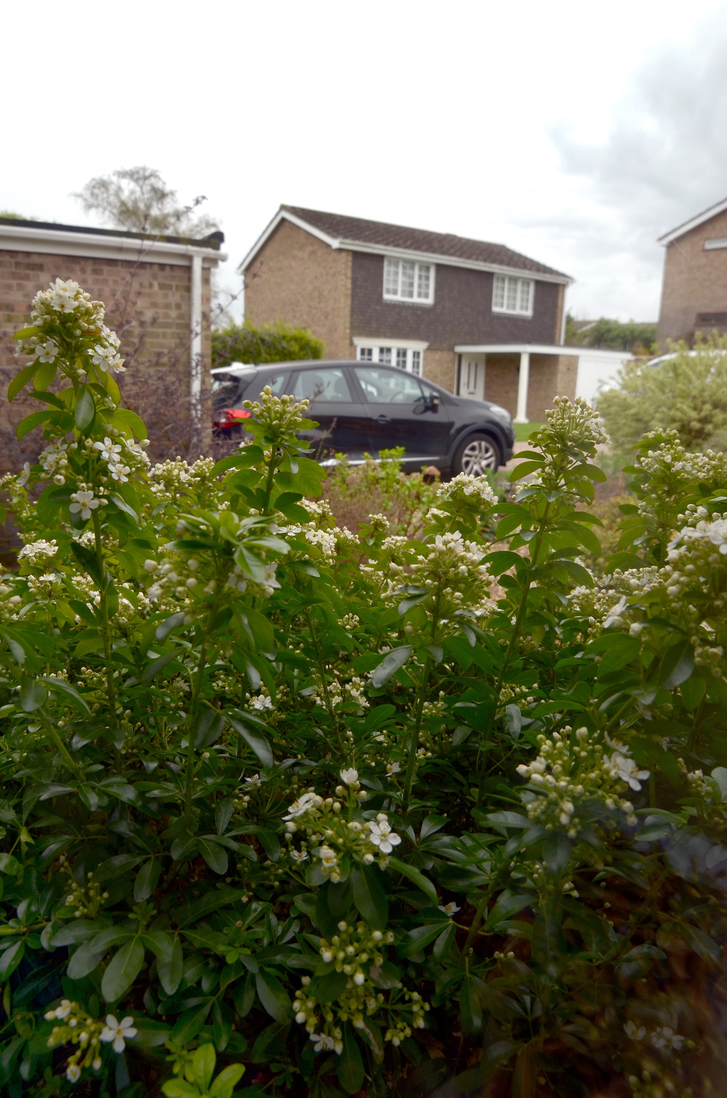 Samyang 14mm f2.8 Ultra Wide Angle Lens, Nikon Manual Focus Fit. - Image 3 of 3