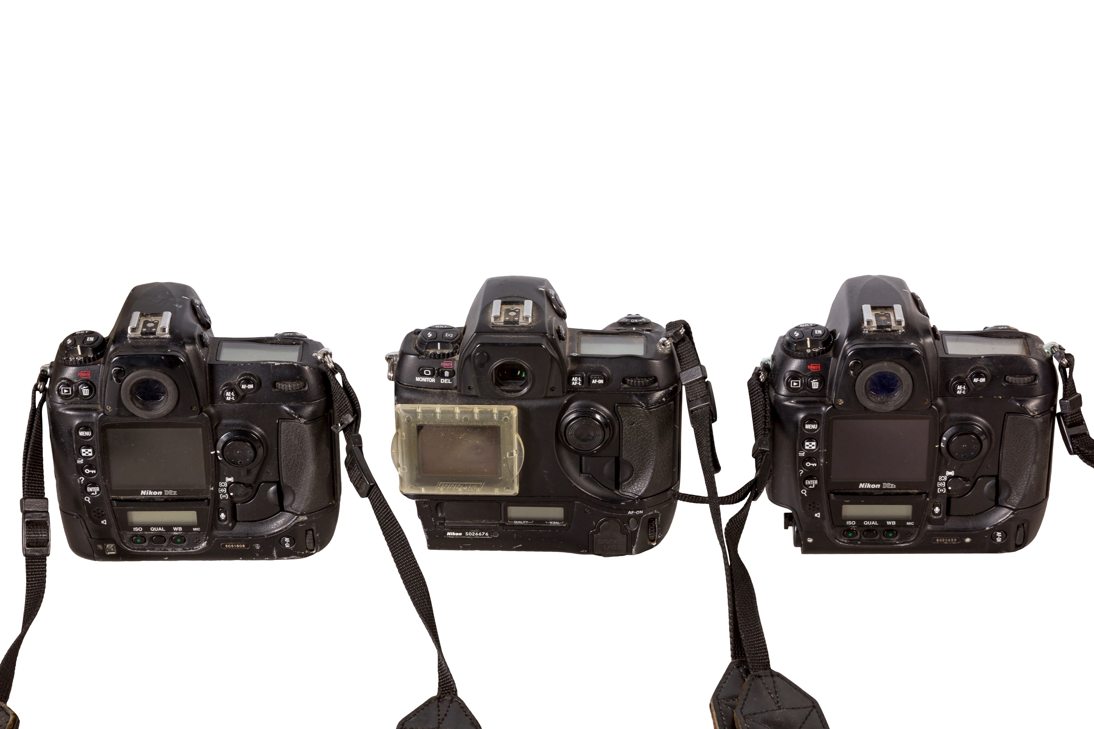 A Selection of Professional Nikon DSLR Cameras - Image 2 of 3