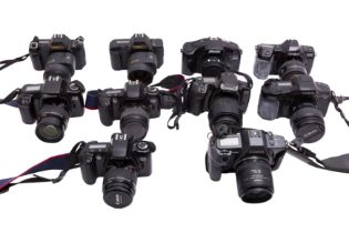 Selection of Film SLR AF Cameras