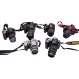 Six DSLR Cameras