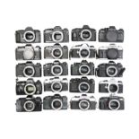 Twenty Electronic 35mm SLR Camera Bodies.